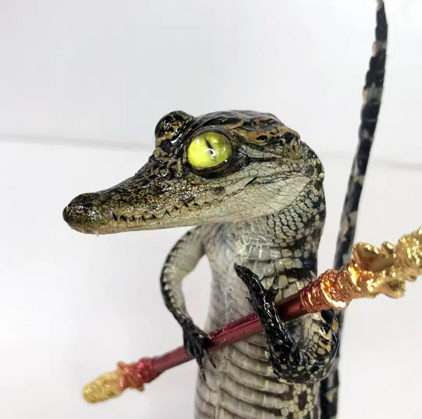 Standing Crocodile Taxidermy – Customisable Display