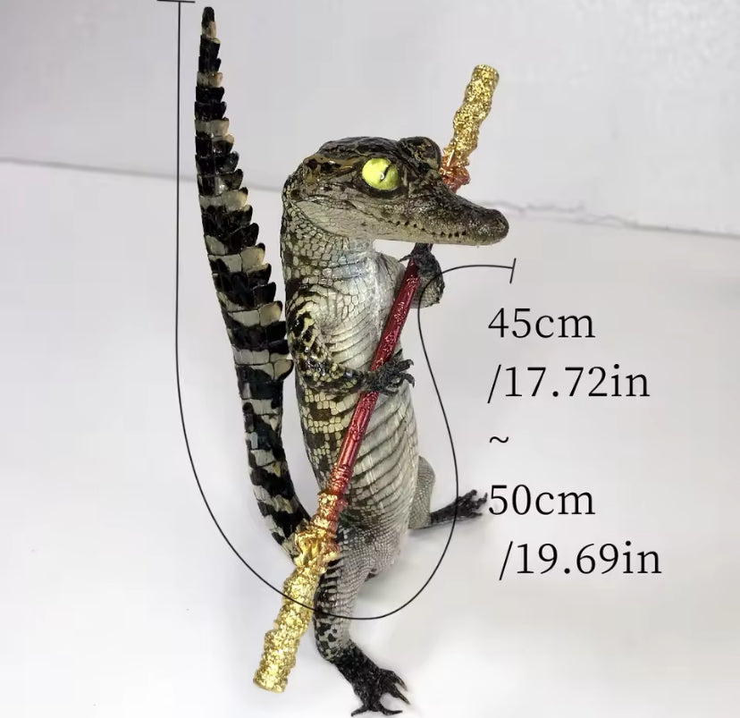 Standing Crocodile Taxidermy – Customisable Display