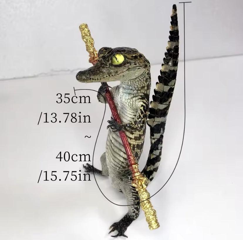 Standing Crocodile Taxidermy – Customisable Display