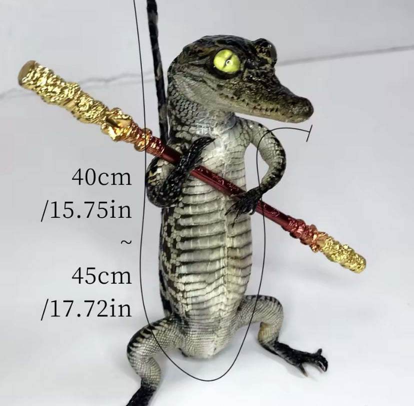 Standing Crocodile Taxidermy – Customisable Display