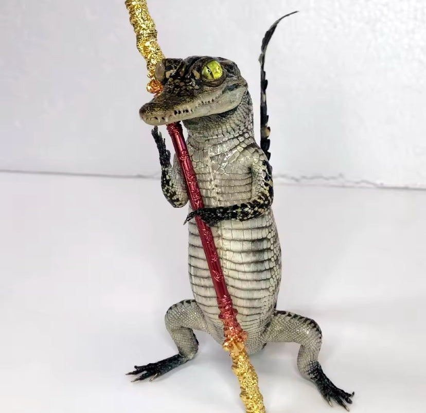 Standing Crocodile Taxidermy – Customisable Display